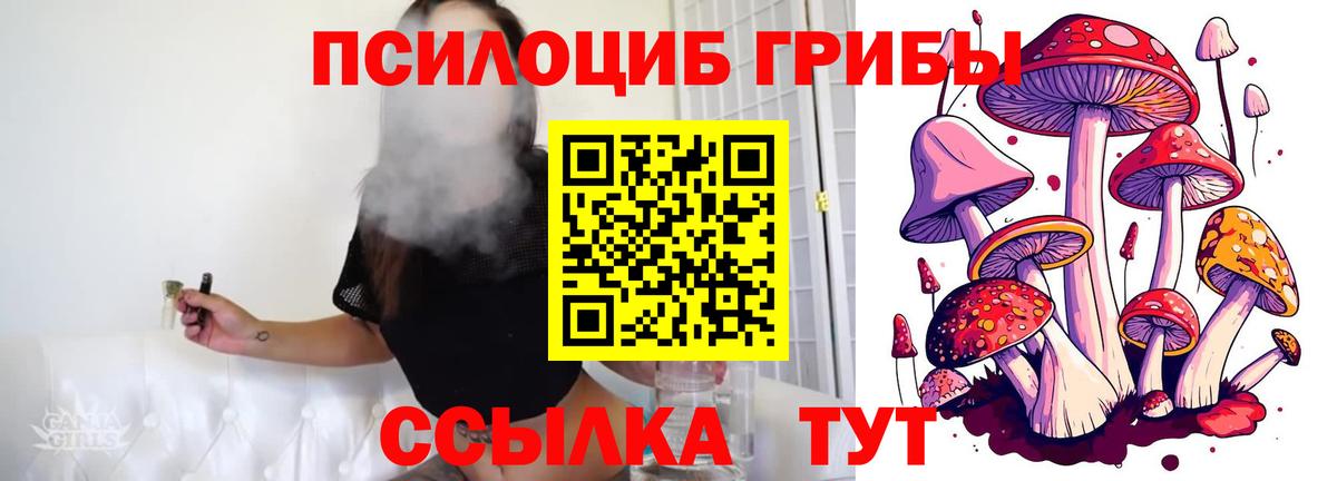 Галлюциногенные грибы мицелий  Вход с VPN  Астрахань 